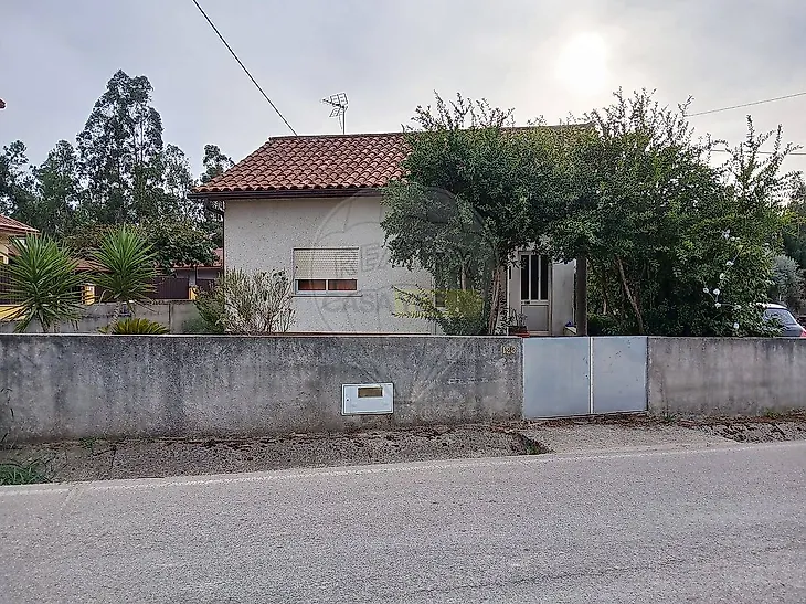 main-listing-picture-0