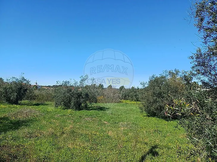 main-listing-picture-0