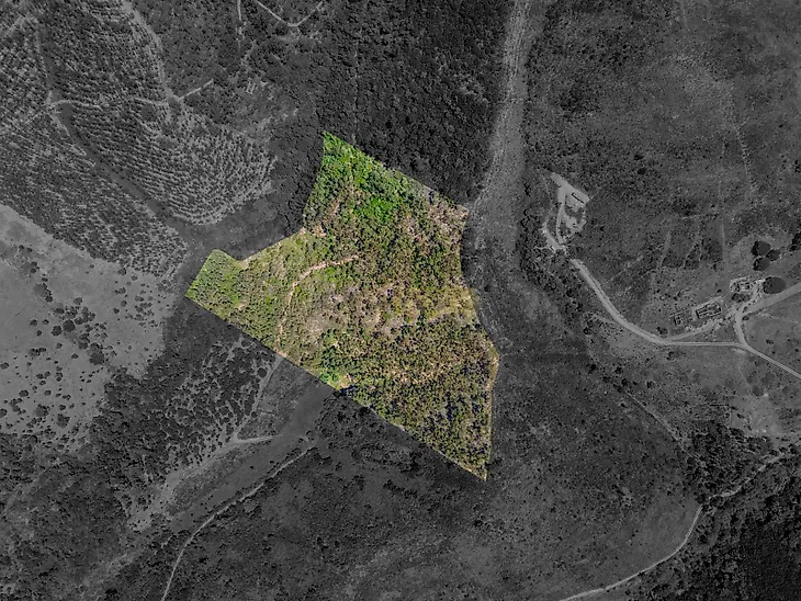 main-listing-picture-0