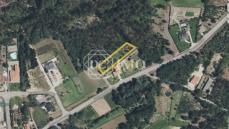 main-listing-picture-0