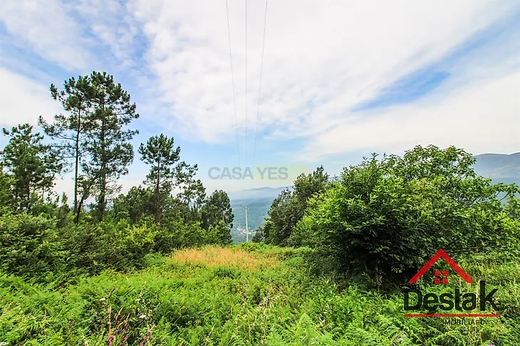 main-listing-picture-0