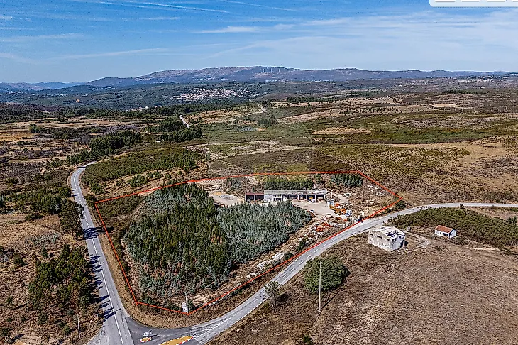 main-listing-picture-0