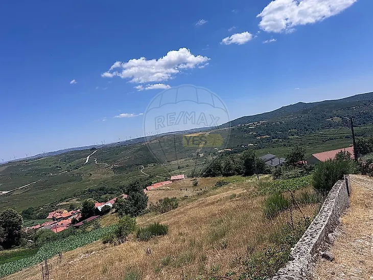 main-listing-picture-0