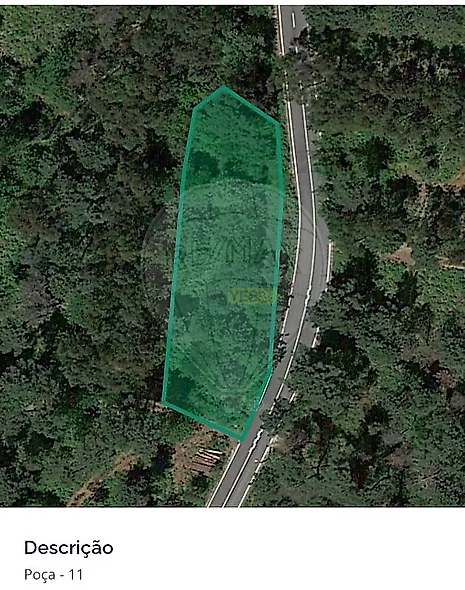 main-listing-picture-0