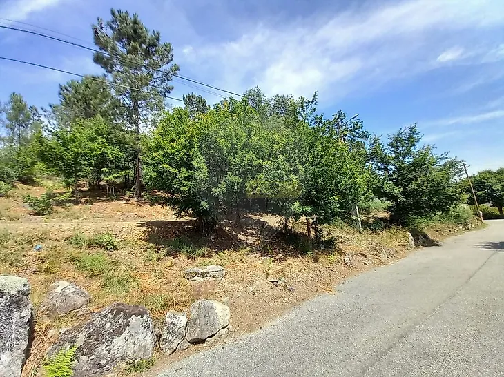 main-listing-picture-0