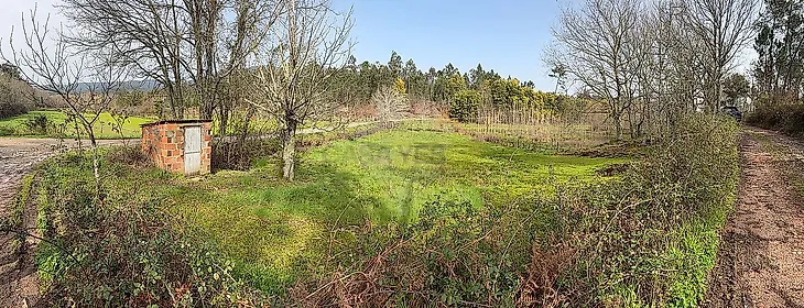 main-listing-picture-0