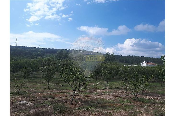 main-listing-picture-0