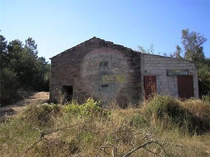 main-listing-picture-0