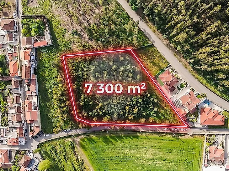 main-listing-picture-0