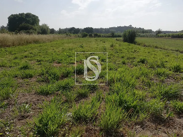 main-listing-picture-0