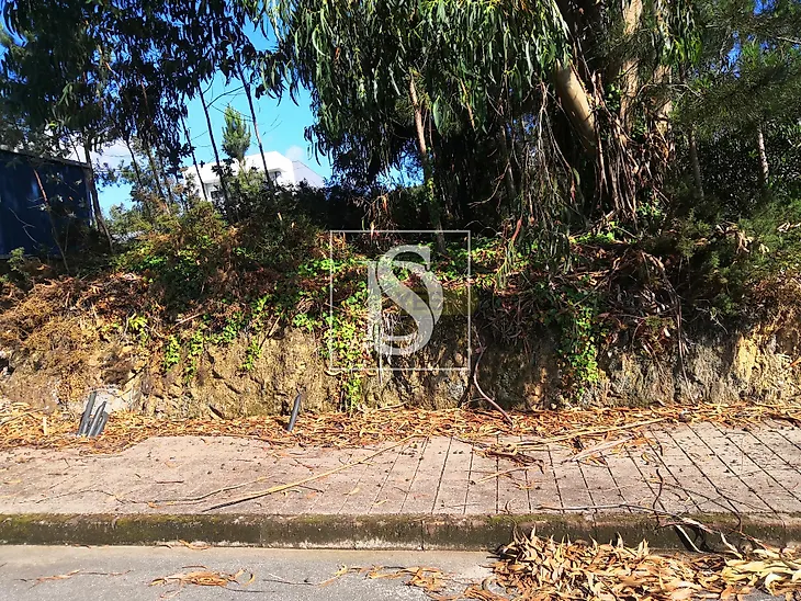main-listing-picture-0