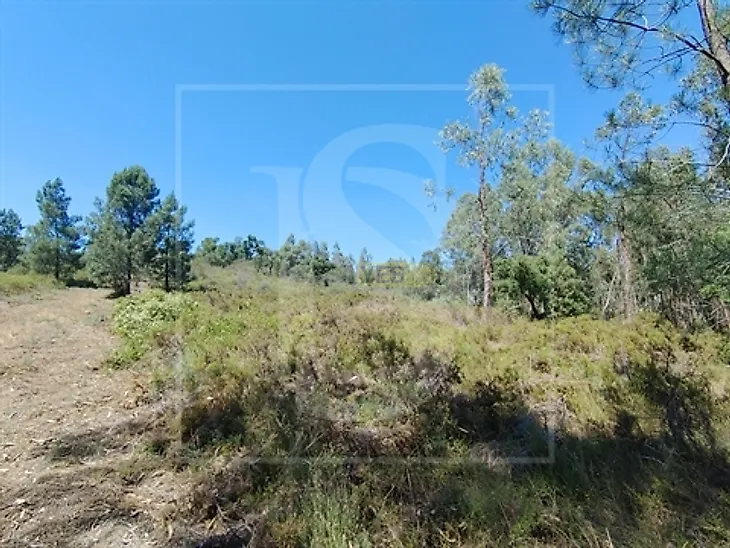 main-listing-picture-0