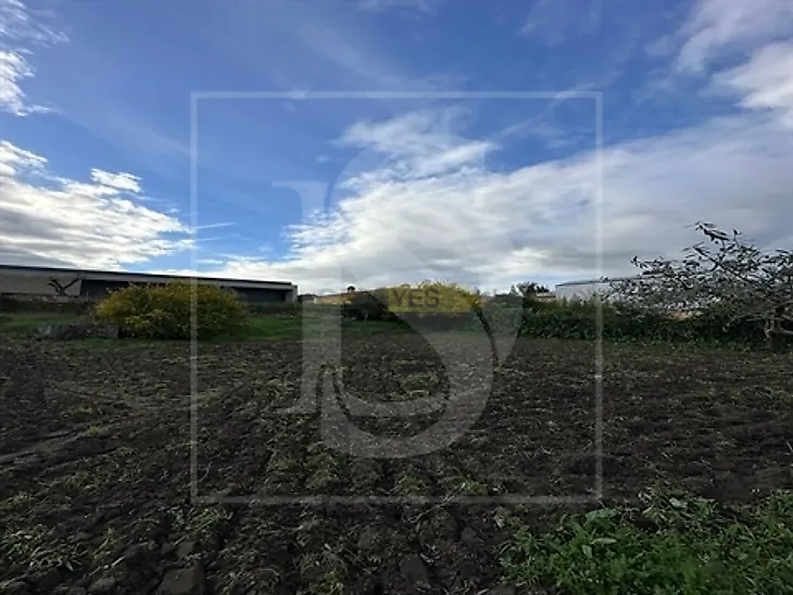 main-listing-picture-0