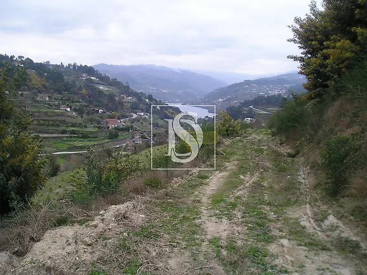 main-listing-picture-0