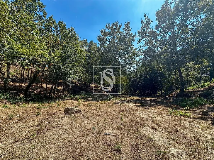main-listing-picture-0