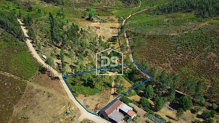main-listing-picture-0