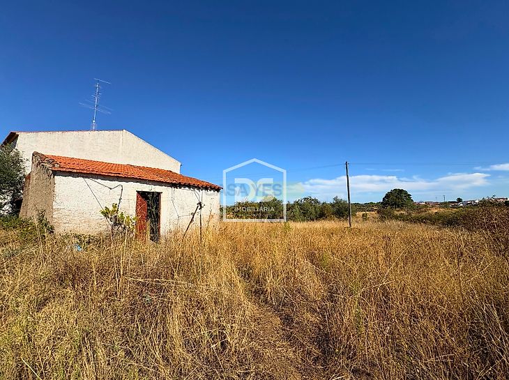 main-listing-picture-0