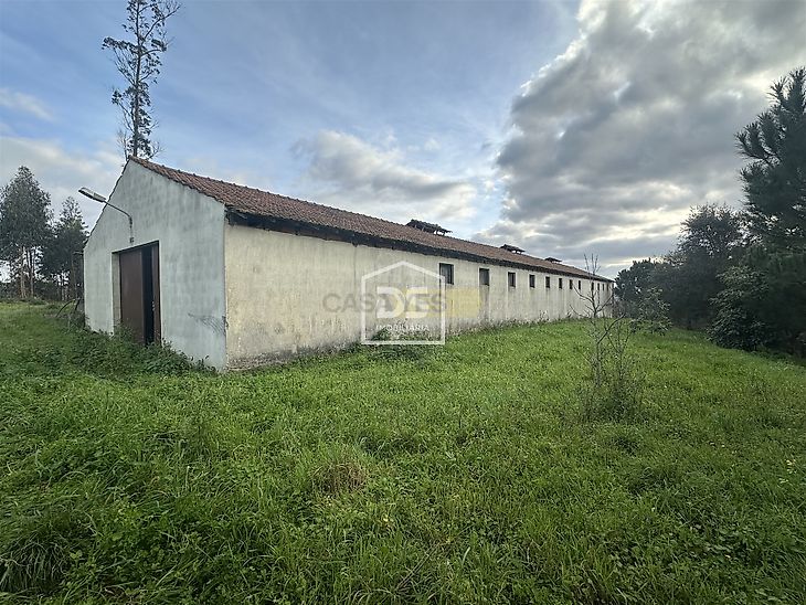 main-listing-picture-0