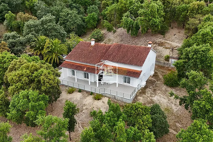 main-listing-picture-0