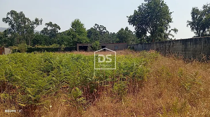 main-listing-picture-0