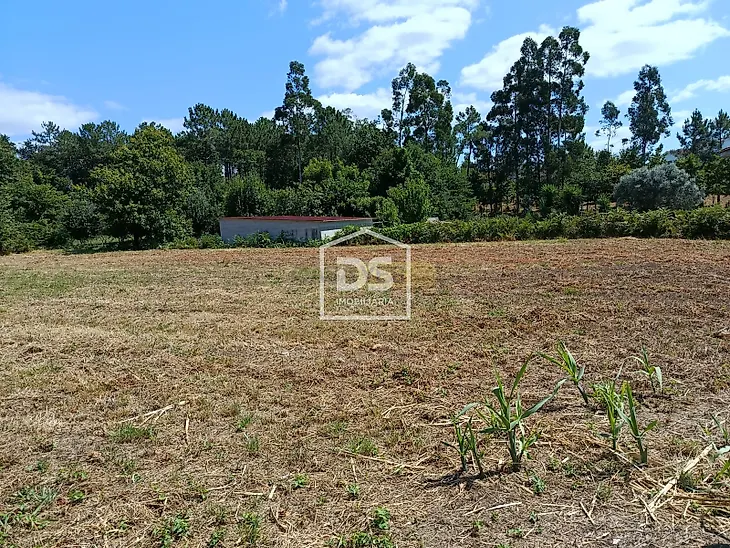 main-listing-picture-0
