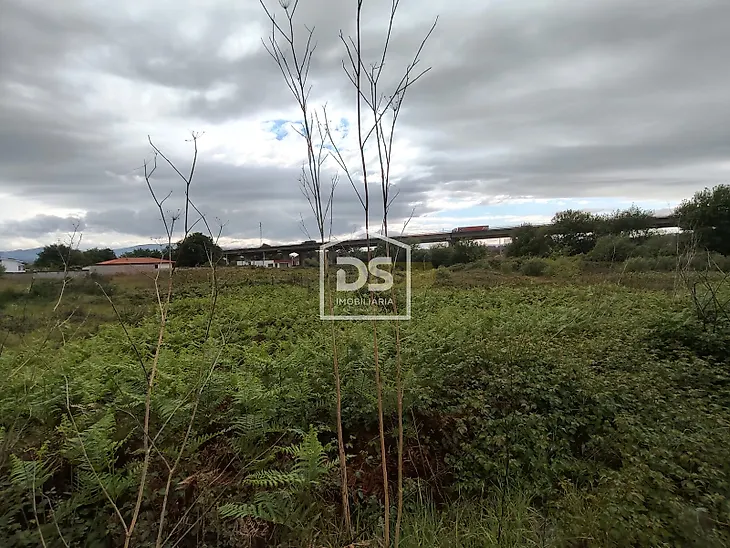 main-listing-picture-0