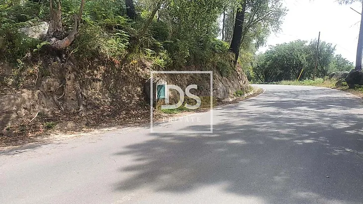 main-listing-picture-0
