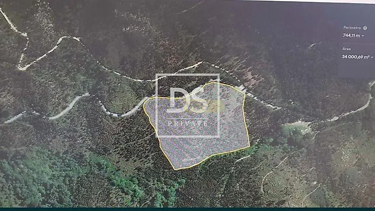 main-listing-picture-0