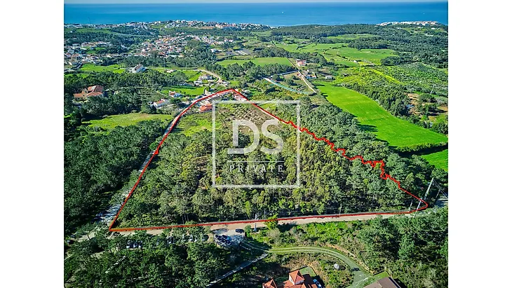 main-listing-picture-0