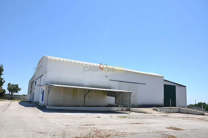 main-listing-picture-0