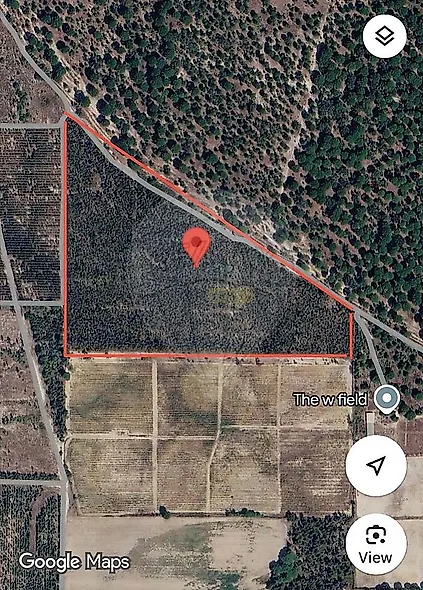 main-listing-picture-0