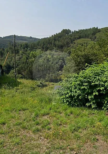 main-listing-picture-0