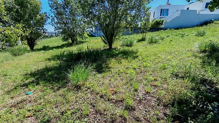 main-listing-picture-0