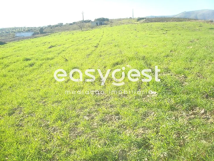 main-listing-picture-0