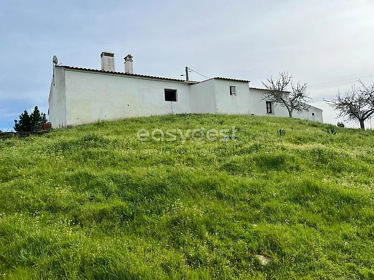 main-listing-picture-0