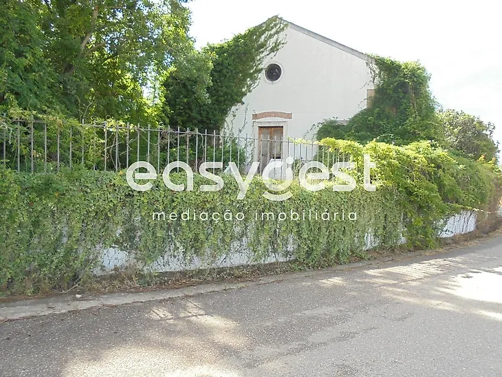 main-listing-picture-0