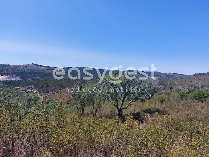 main-listing-picture-0