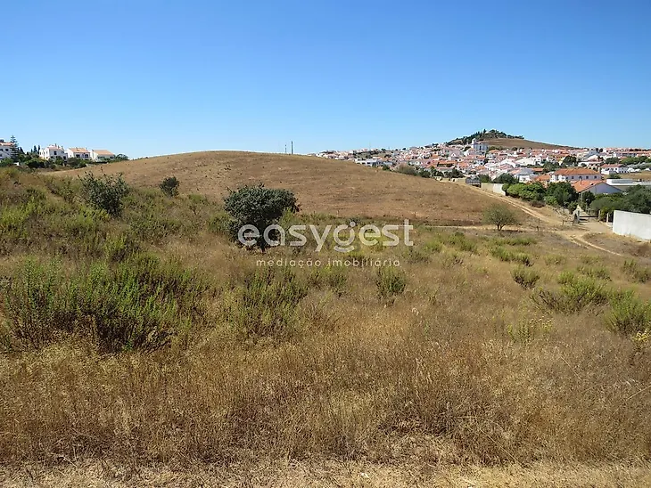 main-listing-picture-0