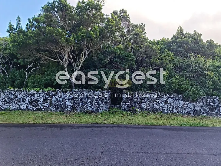 main-listing-picture-0