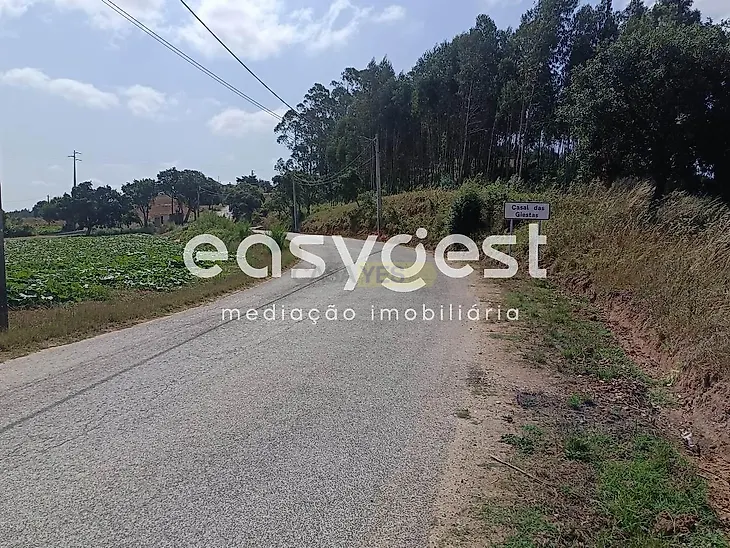 main-listing-picture-0