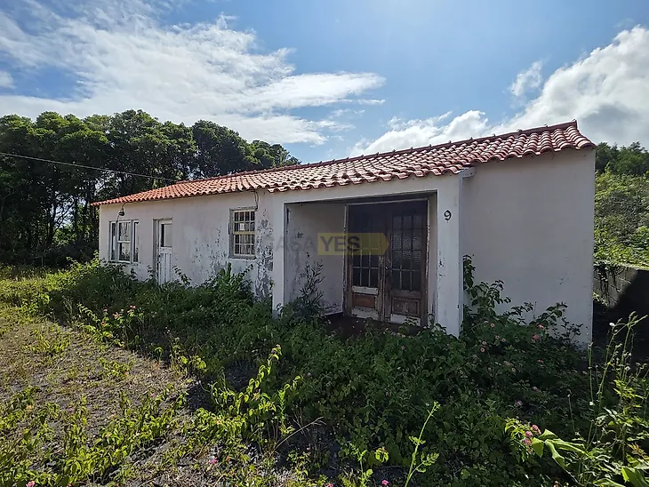 main-listing-picture-0