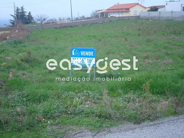main-listing-picture-0