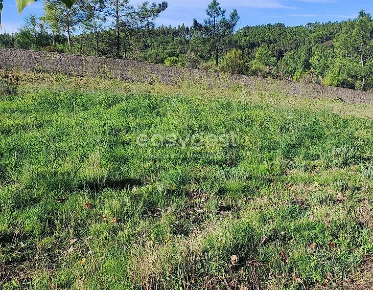 main-listing-picture-0