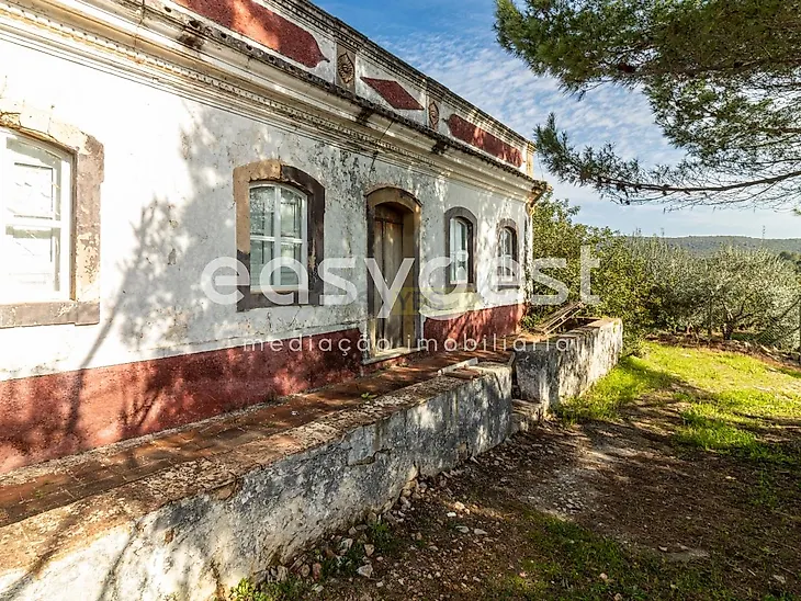 main-listing-picture-0