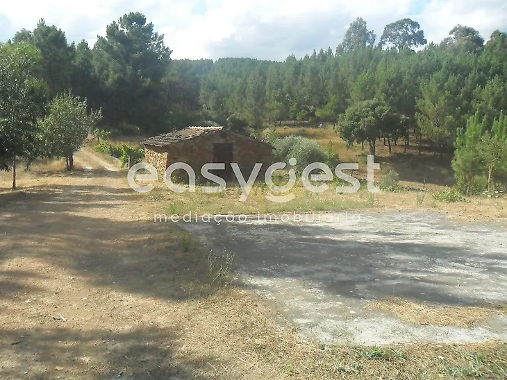 main-listing-picture-0