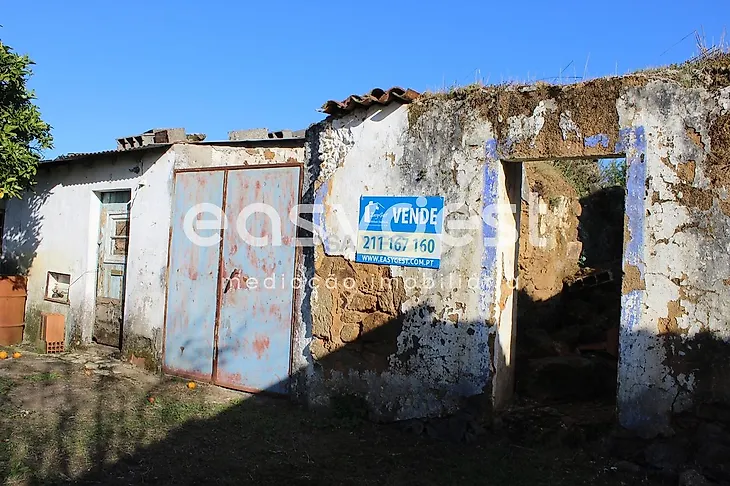 main-listing-picture-0
