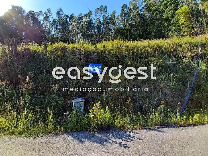main-listing-picture-0