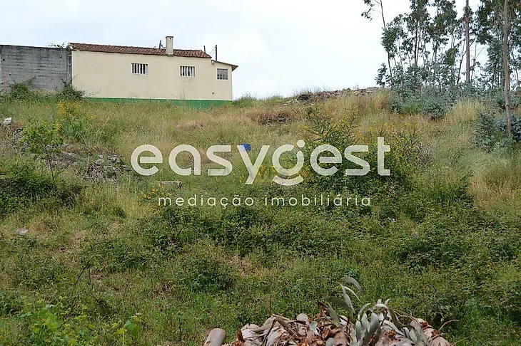 main-listing-picture-0