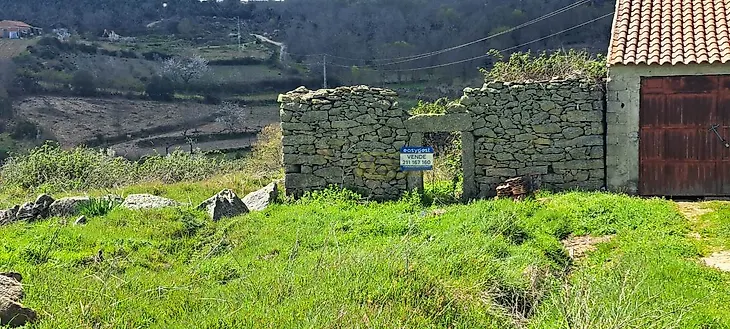 main-listing-picture-0