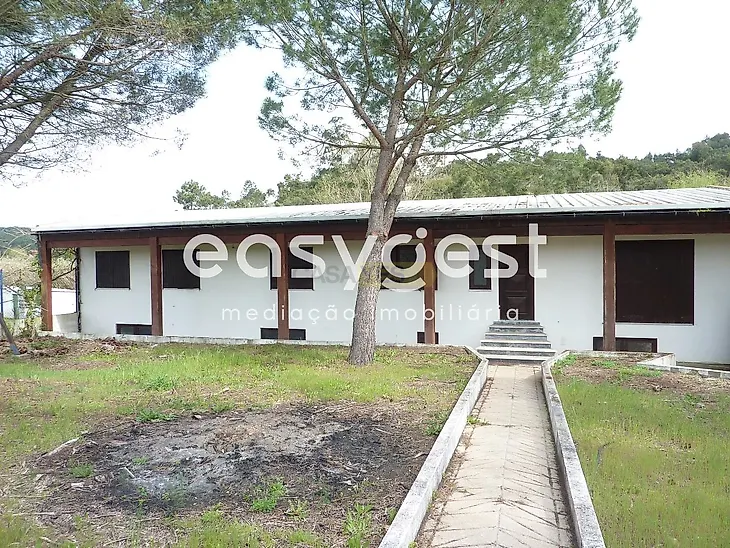 main-listing-picture-0
